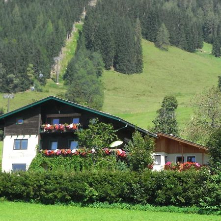Ferienhaus Regina Werfenweng Luaran gambar
