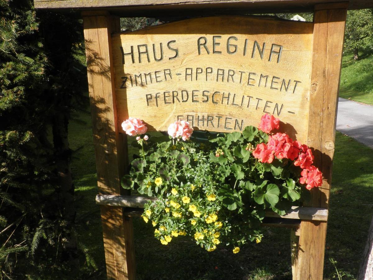 Ferienhaus Regina Werfenweng Luaran gambar